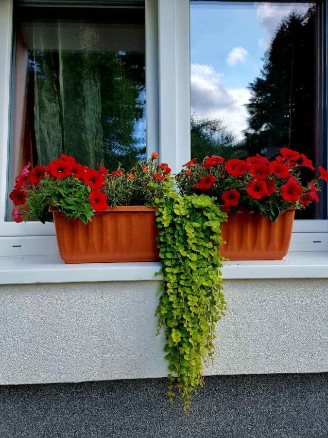 Haus Bierherr Mariazell Luaran gambar