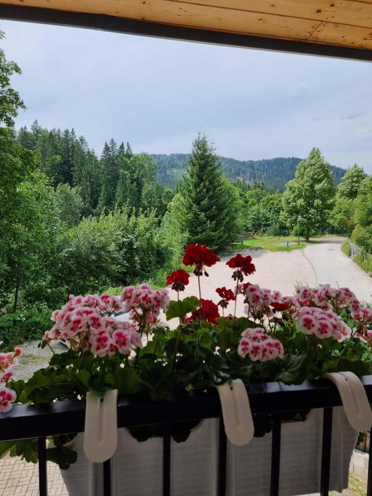 Haus Bierherr Mariazell Luaran gambar